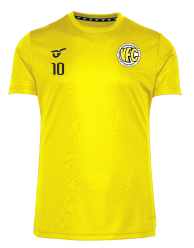 VFC Plauen Plain Pitch Jersey yellow